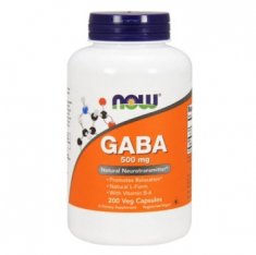 GABA & B6 NOW (200 ������) ����� ������������� �������