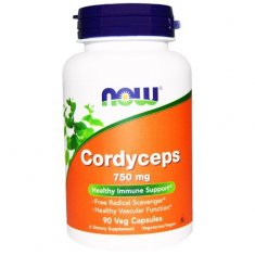 Cordyceps NOW (90 ������) ������� ����������